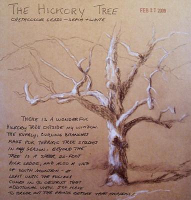 090227-sketch-hickory-tree-600