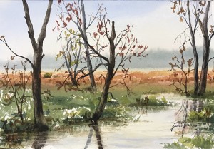 170601 Spring in the Great Swamp 7x11 wc 700